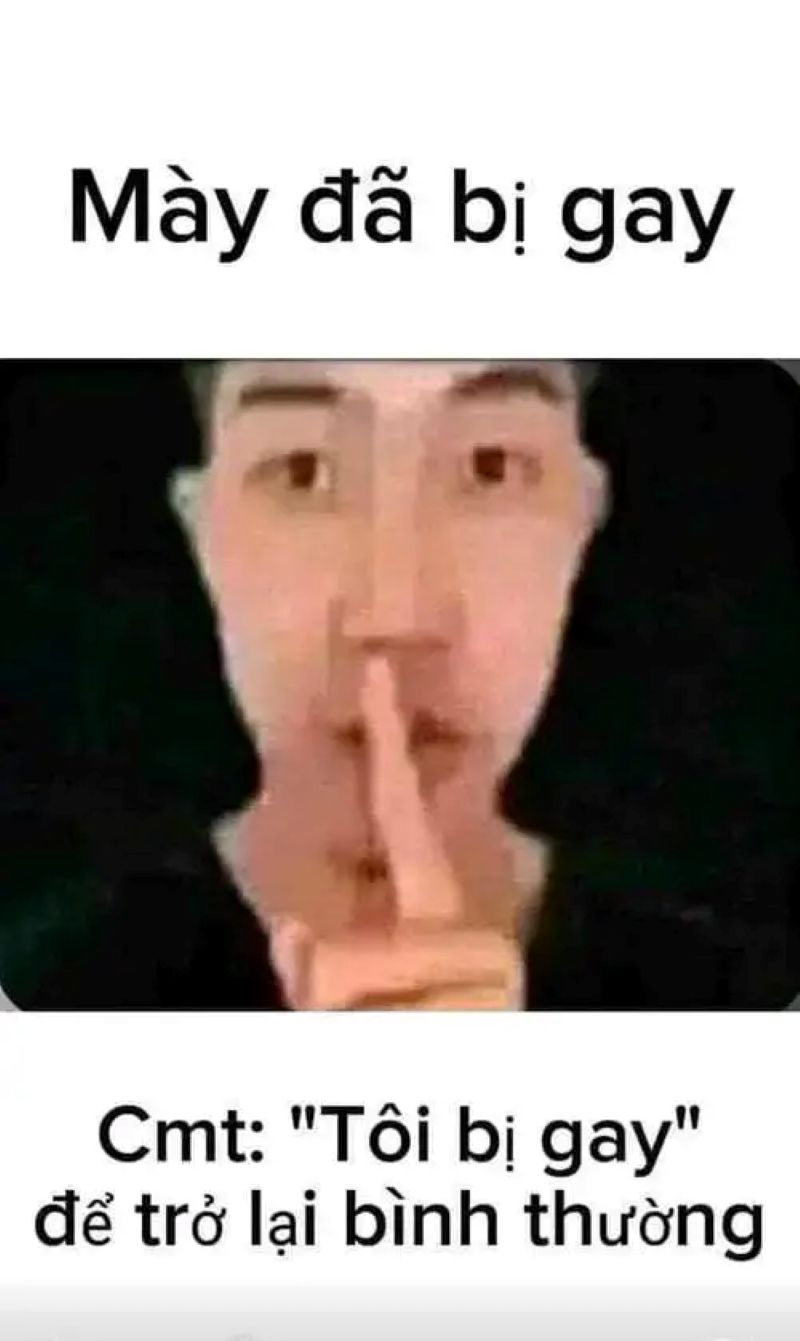 hình meme bựa nhất
