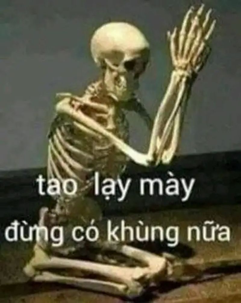 hình meme bựa