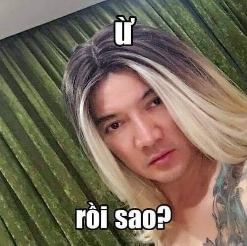 hình meme đàm vĩnh hưng