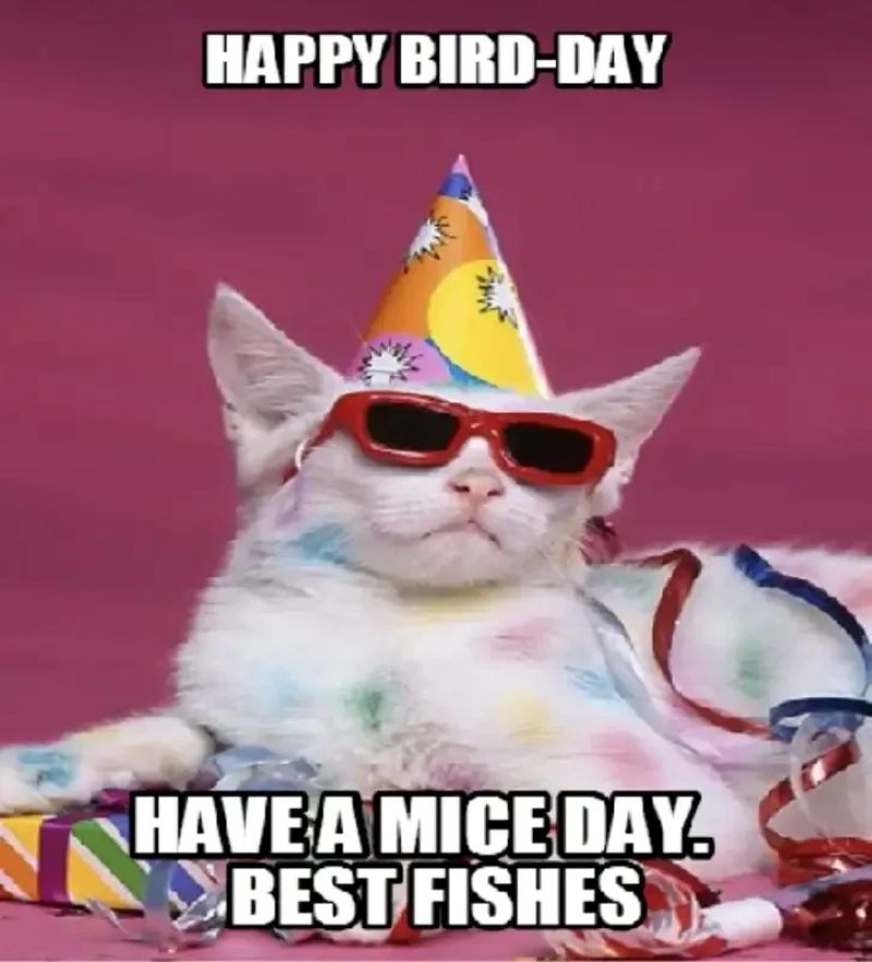 hình meme happy birthday