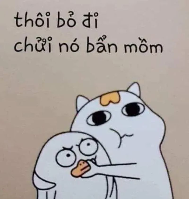 hình meme từ chối