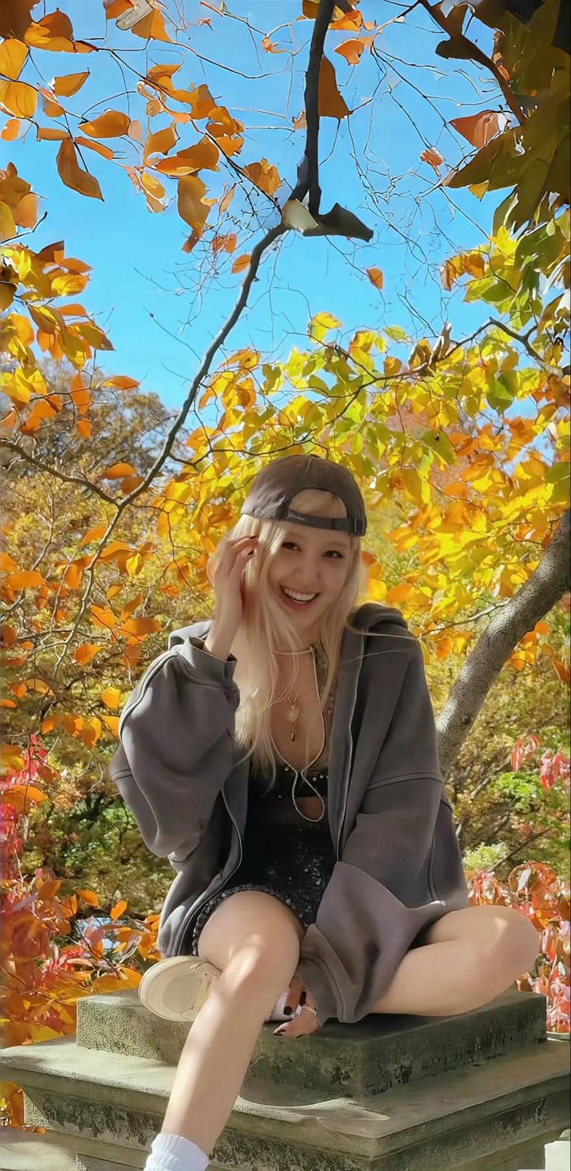 hình nền Rose đẹp