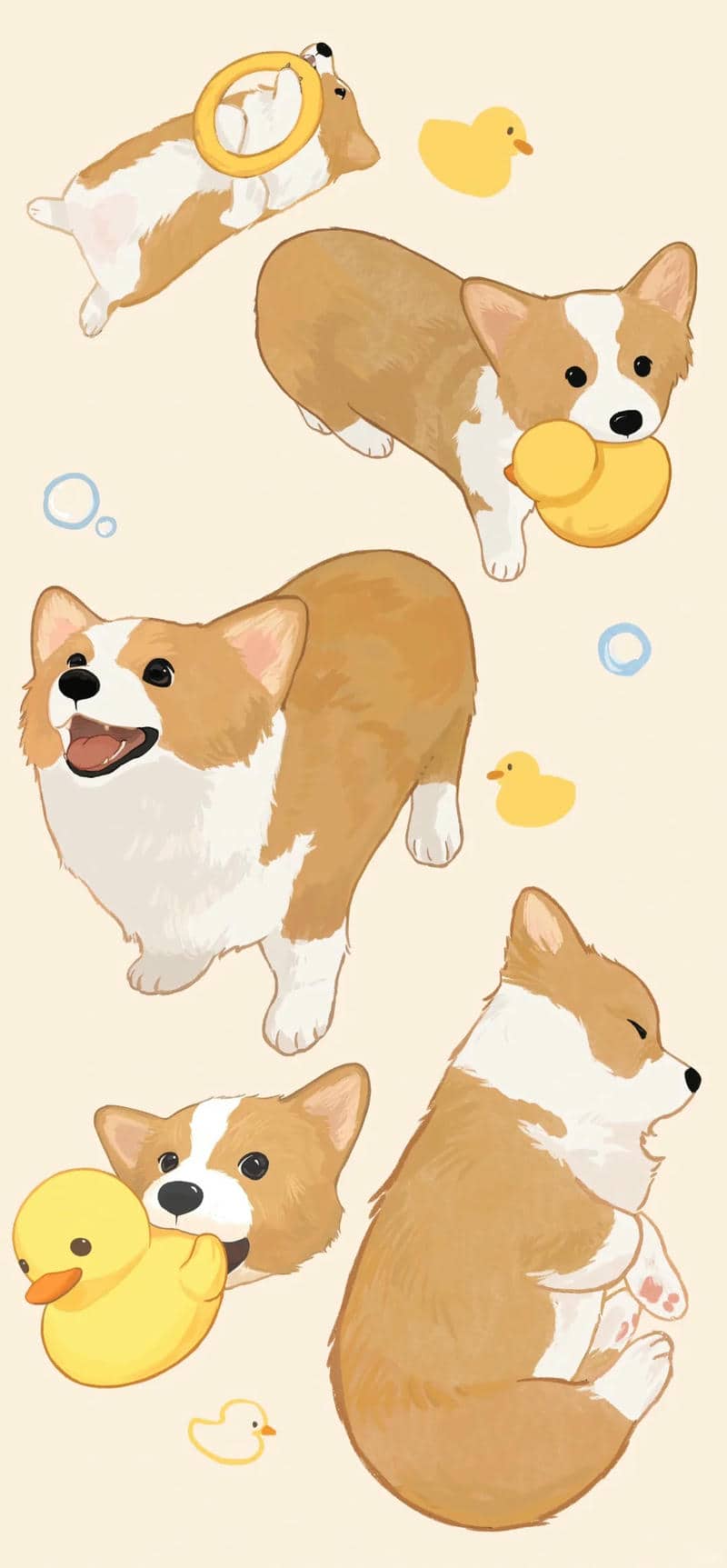 hình nền cute chó con dễ thương