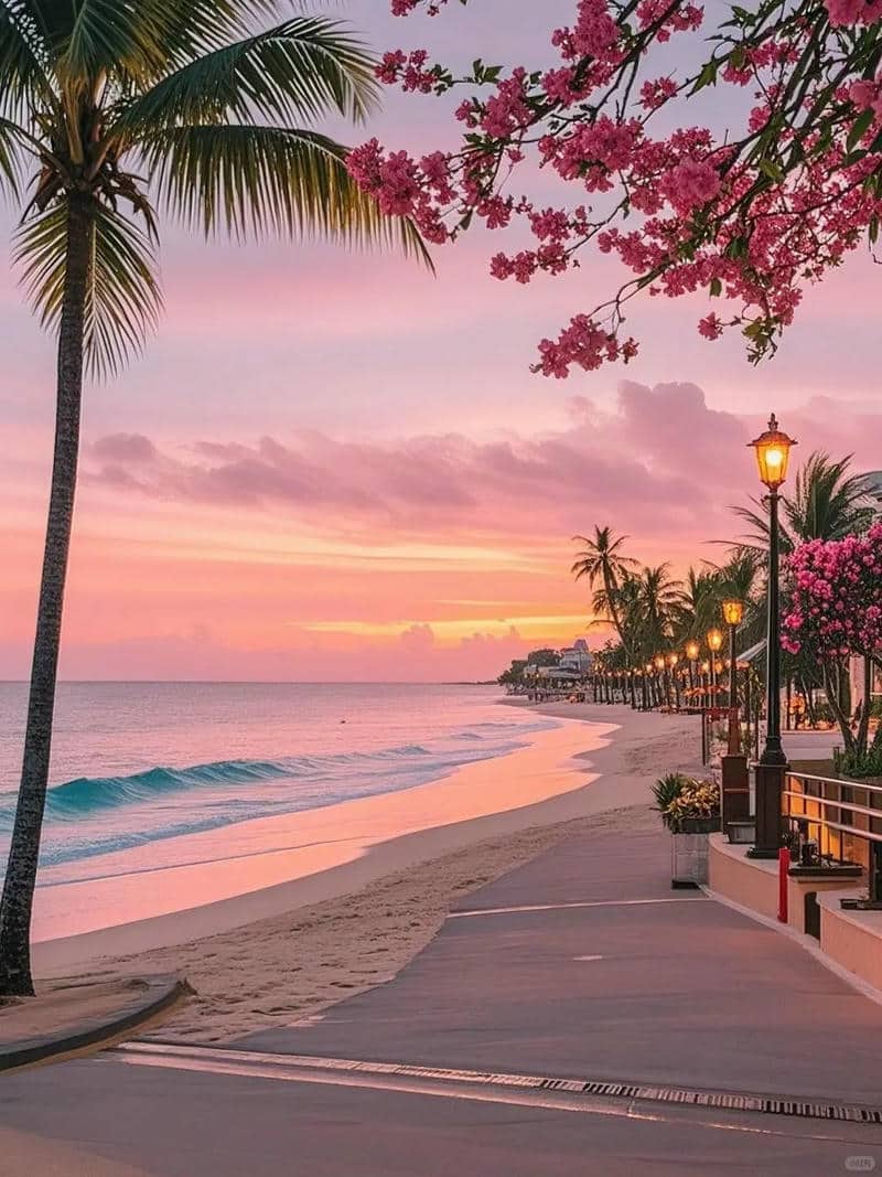 hình nền điện thoại màu hồng