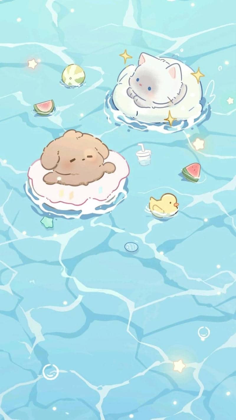 hình nền động vật cute