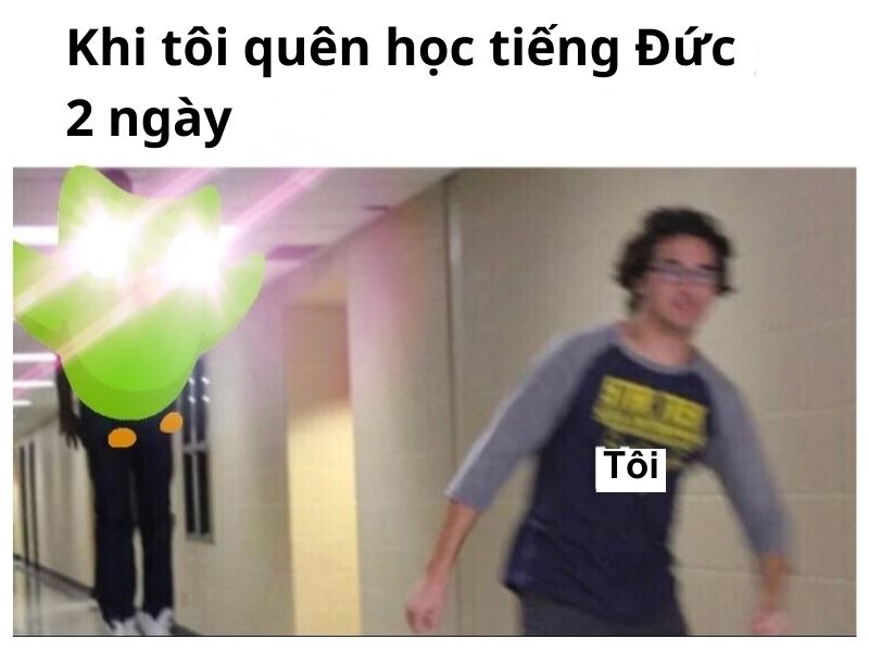 hình nền duolingo