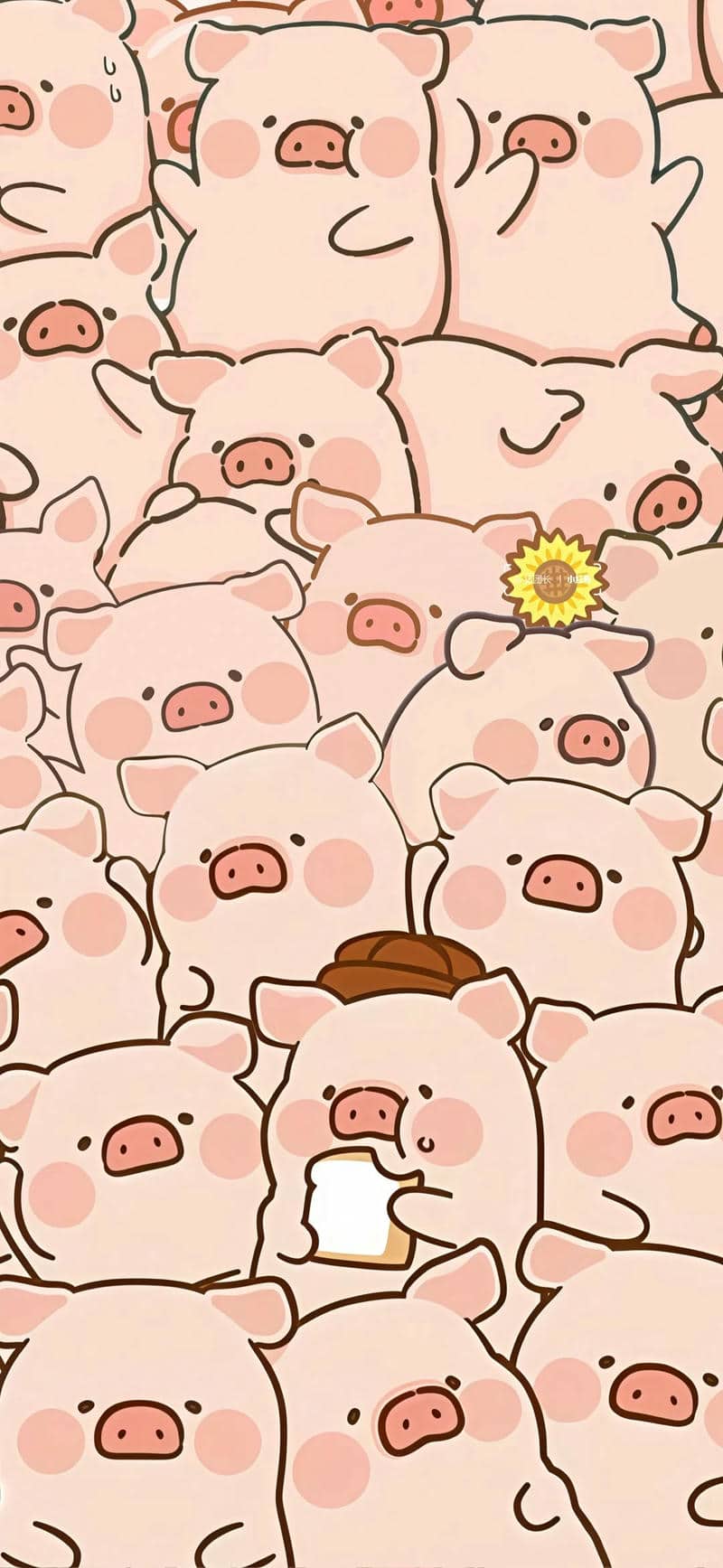 hình nền heo cute