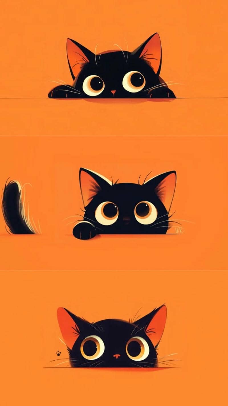 hình nền màu cam cute