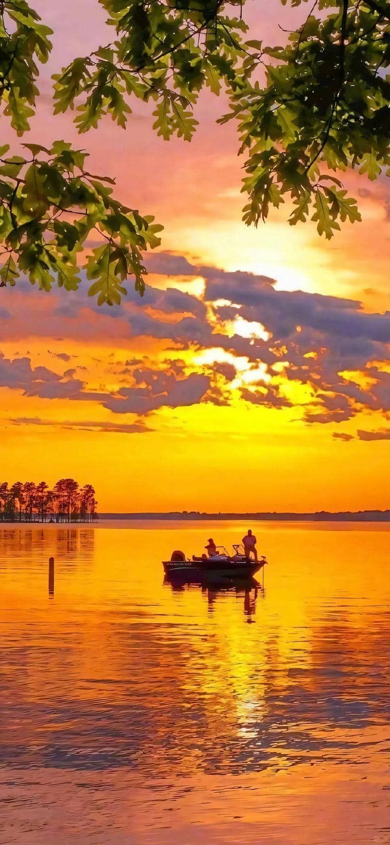 hình nền màu cam đẹp