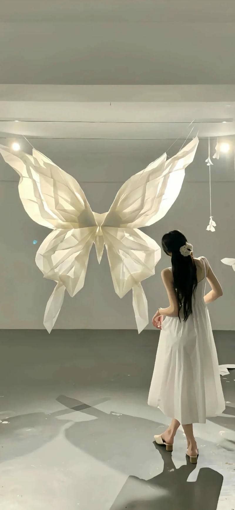 hình nền màu trắng
