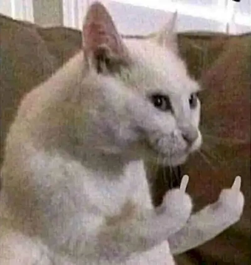 hình ngón giữa