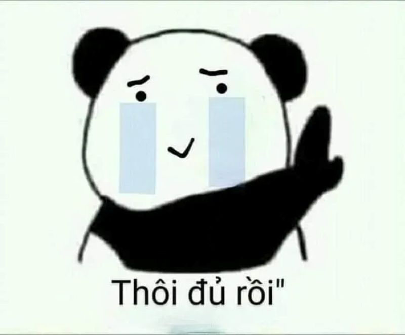 hình từ chối meme