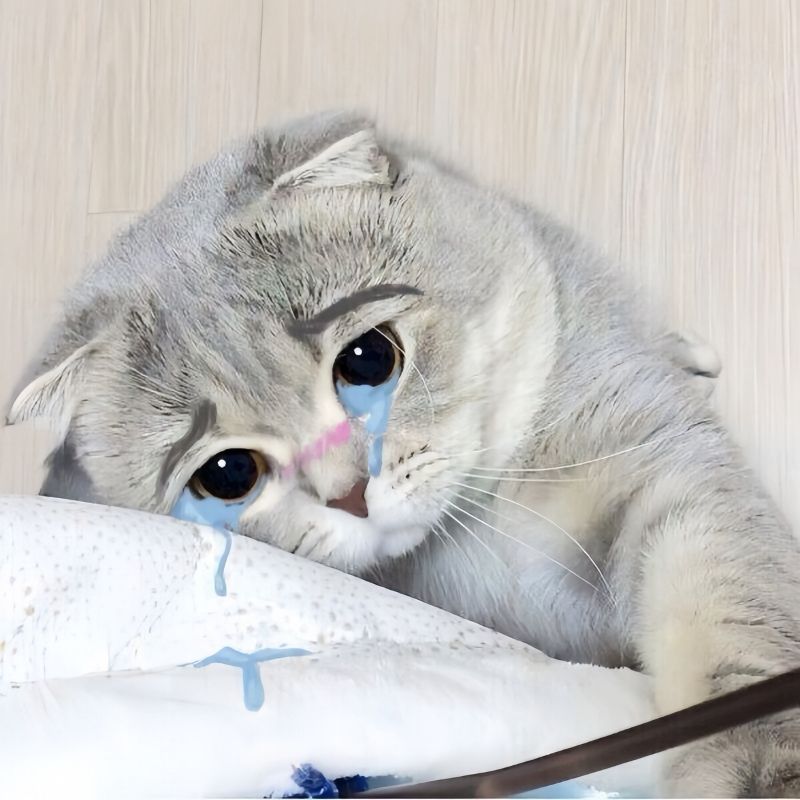 icon dỗi cute