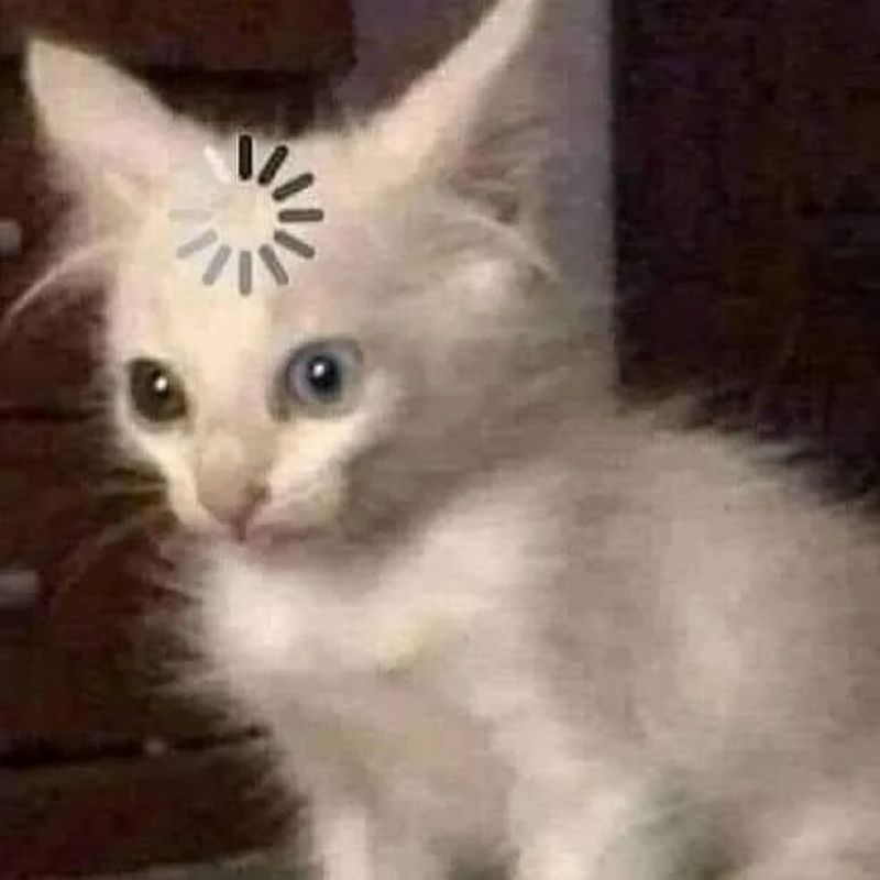 khó hiểu meme hài hước