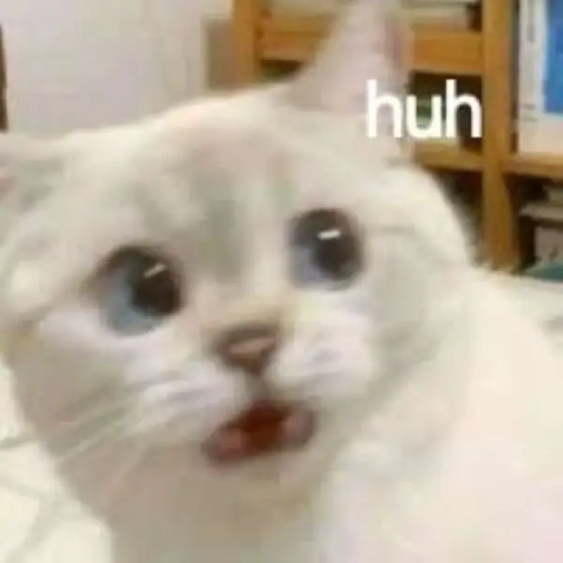 lo lắng meme