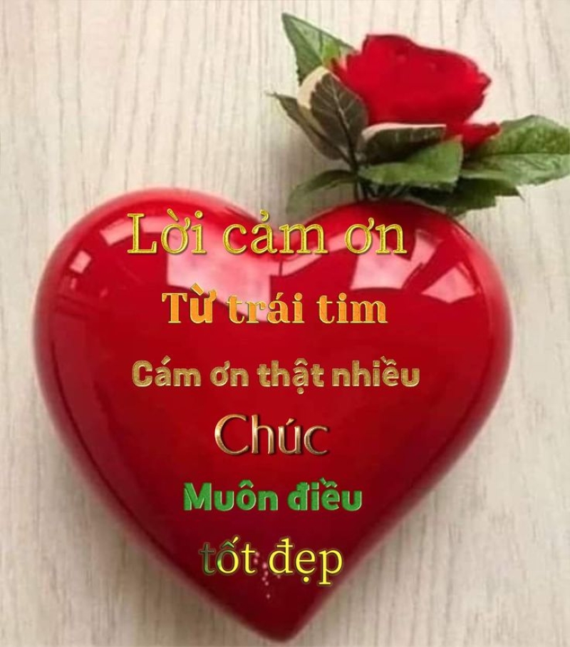 lời cảm ơn hài hước