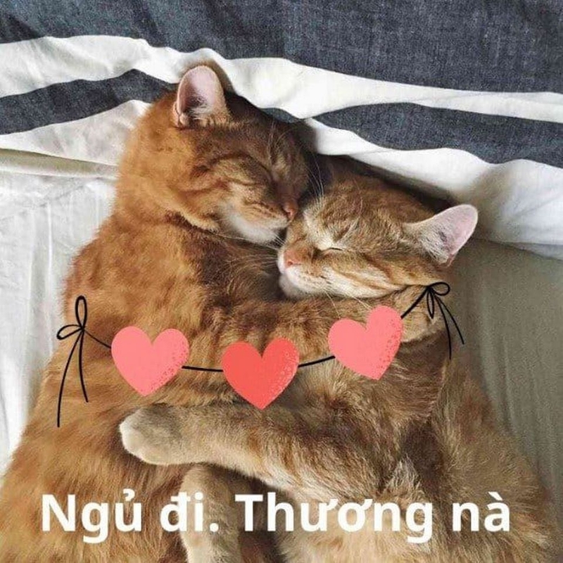 meme an ủi