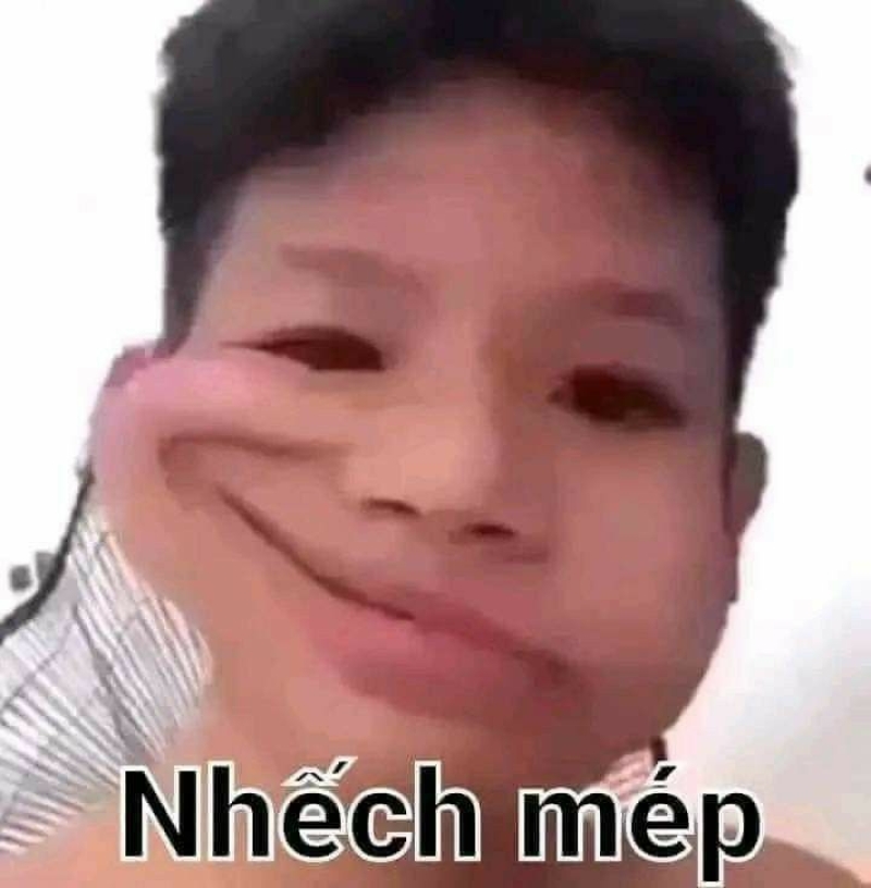 meme ảnh chế