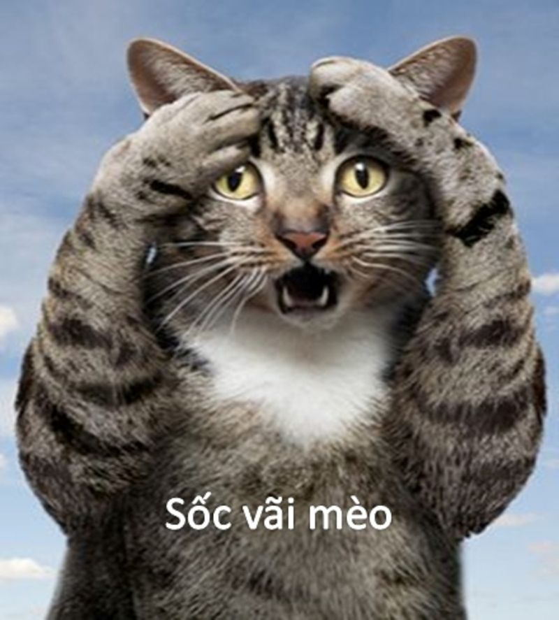 meme bất ổn