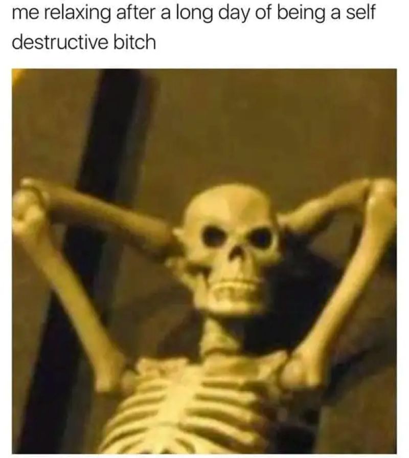 meme bộ xương thú vị