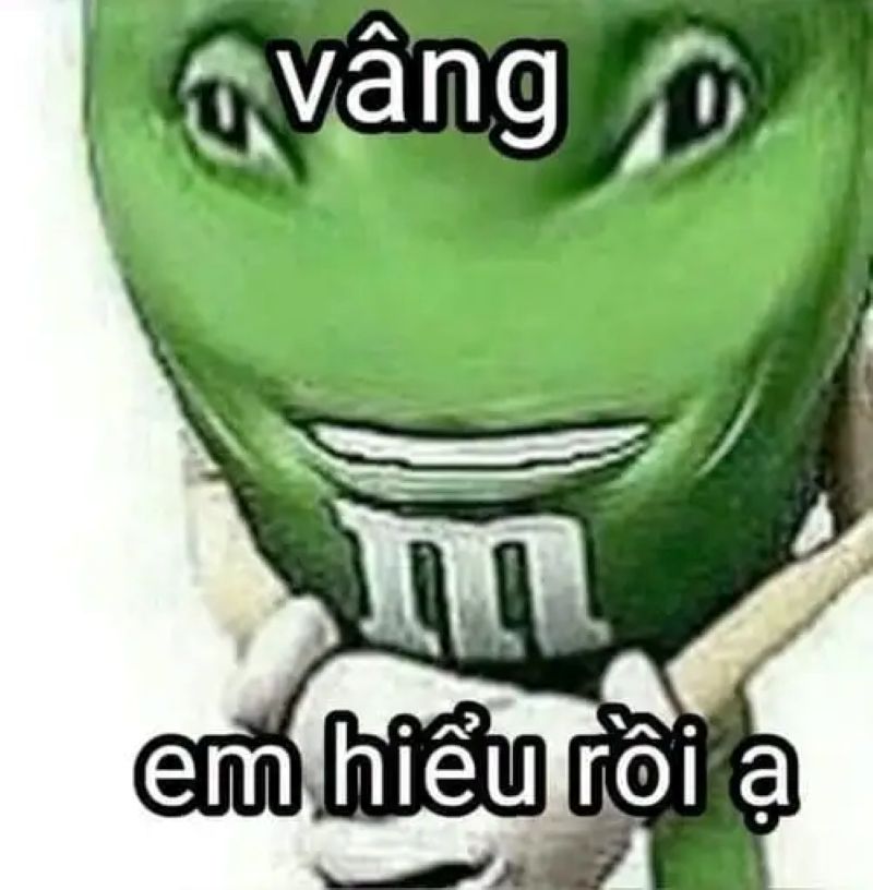 meme bựa nhất