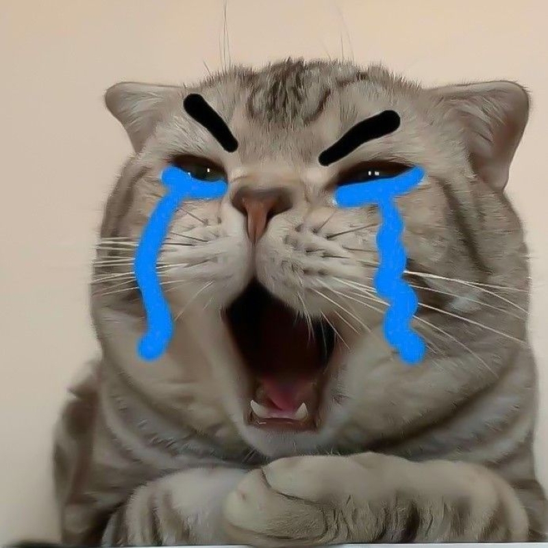 meme buồn cute