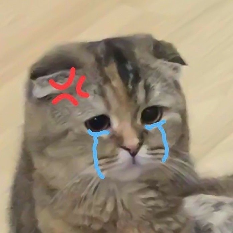 meme buồn khóc