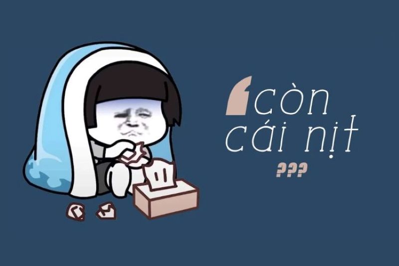 meme cái nịt hài hước