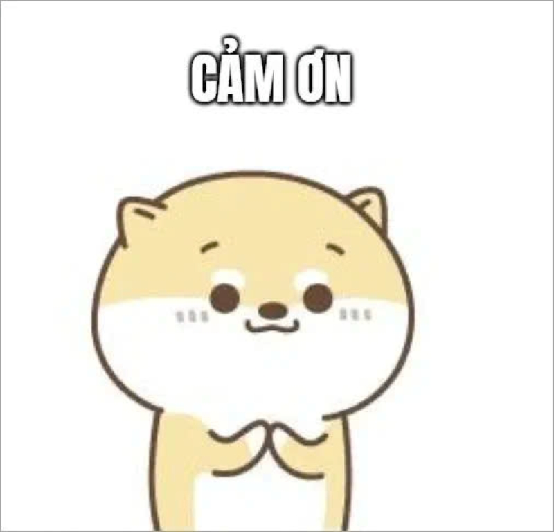 ảnh meme hài hước