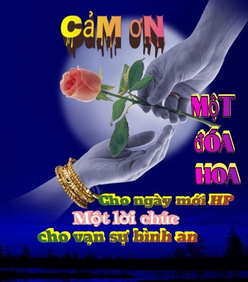 meme cảm ơn hài
