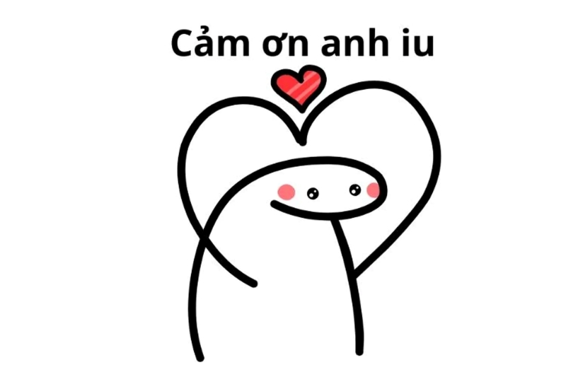 meme cảm ơn người yêu