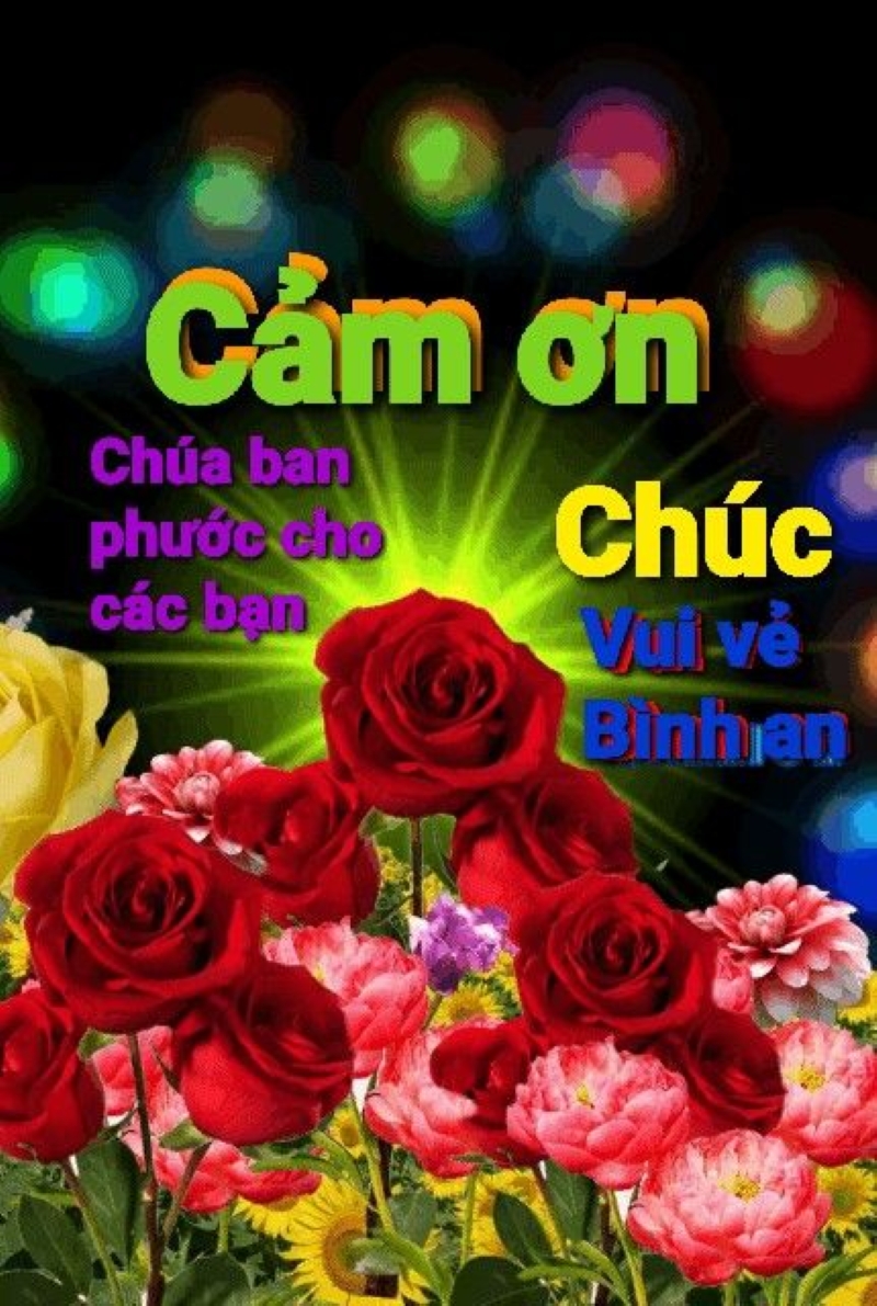 meme cảm ơn