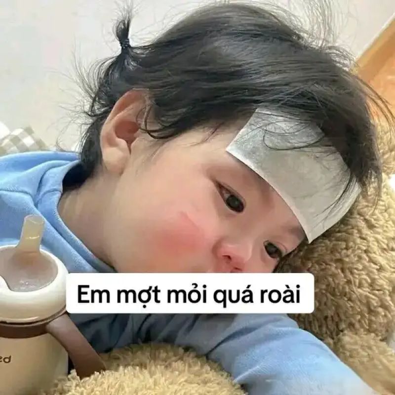 meme chán