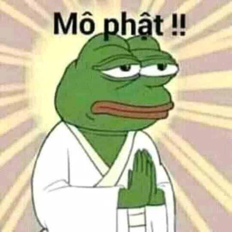 hình ảnh meme lạy