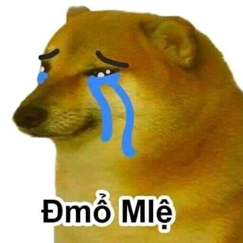 meme cheem