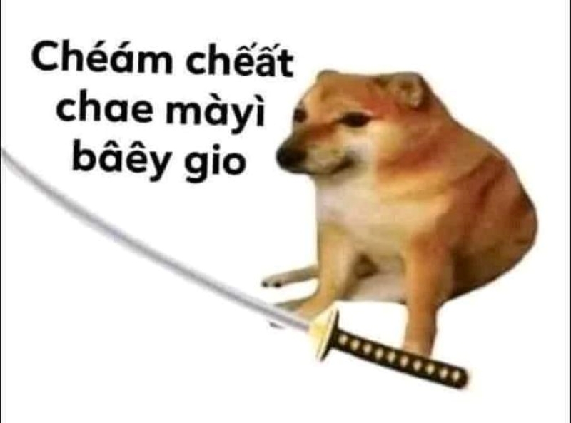 meme chém