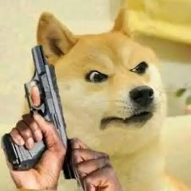 meme chó cầm súng