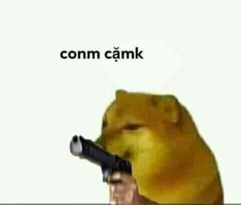 meme chó shiba cầm súng