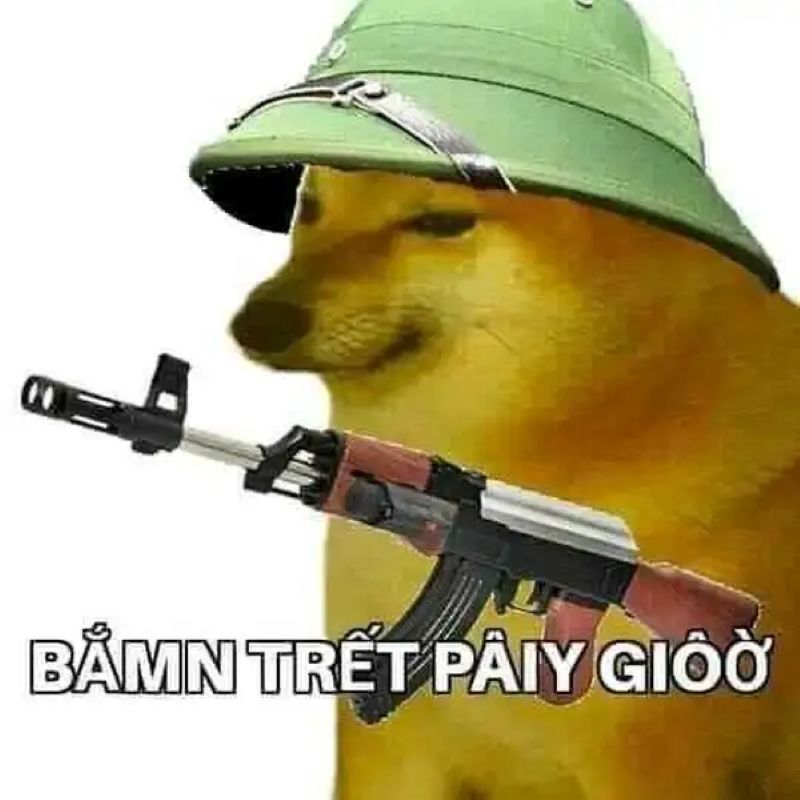 meme chó shiba cầm súng