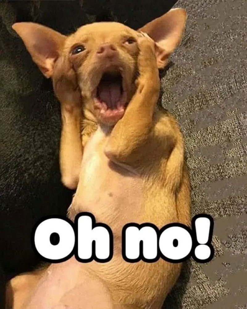 meme chữ