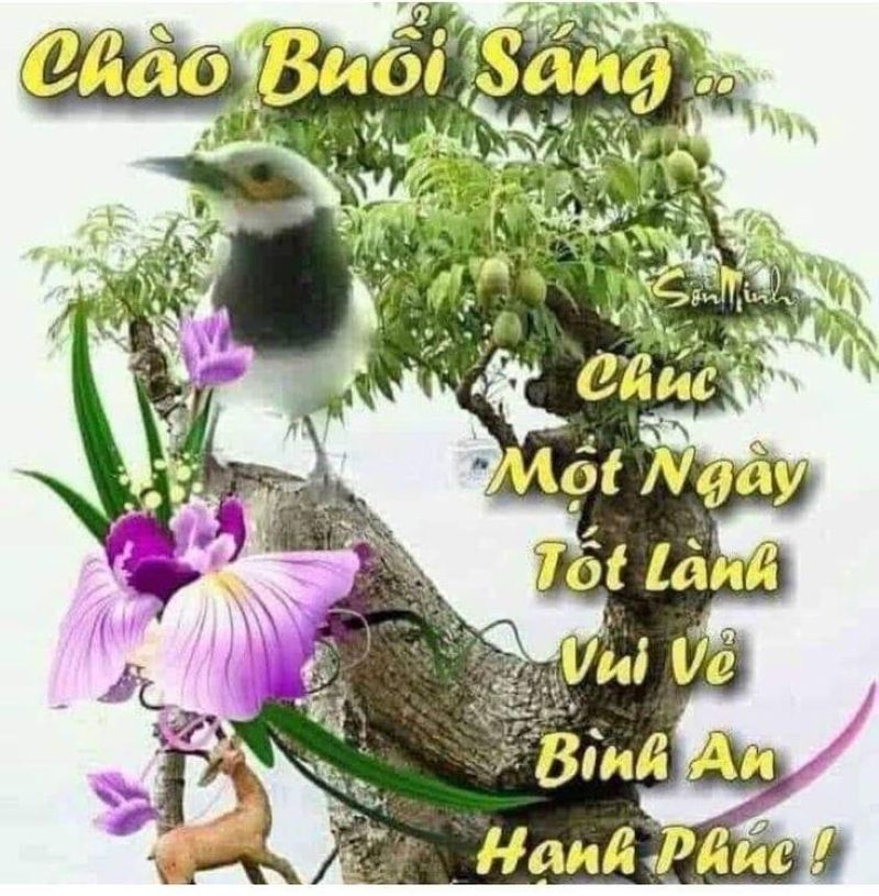 meme chúc buổi sáng hài hước
