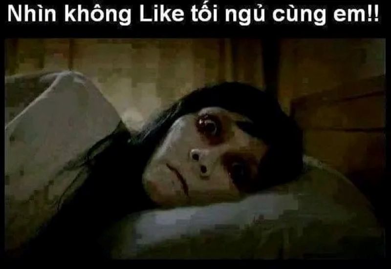meme chúc ngủ ngon hài