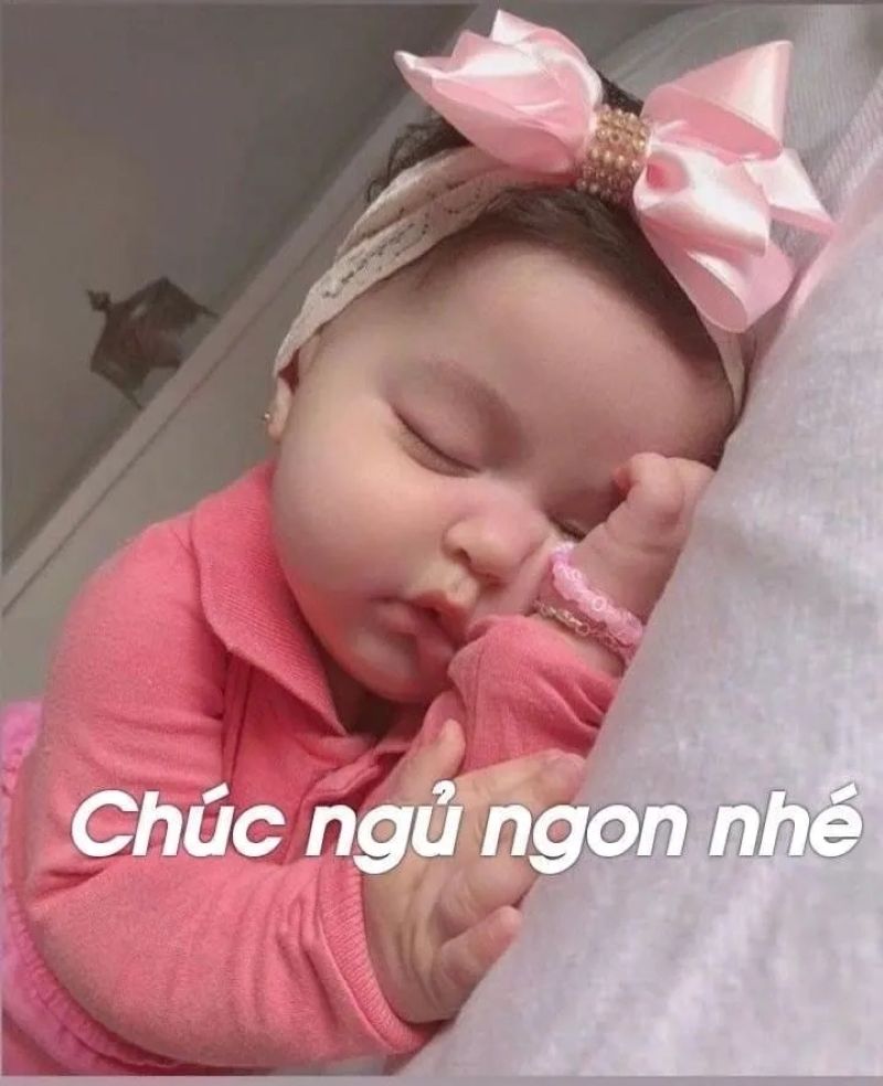 meme chúc ngủ ngon