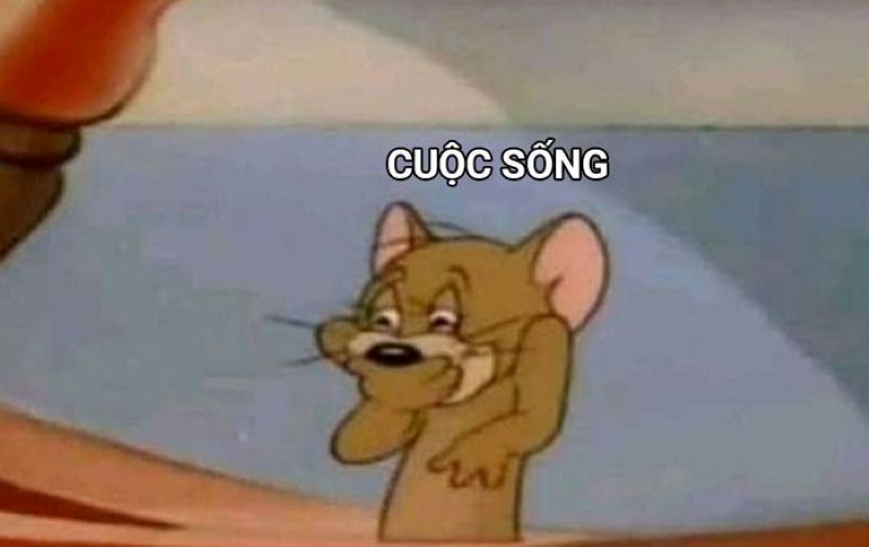 meme cười khinh