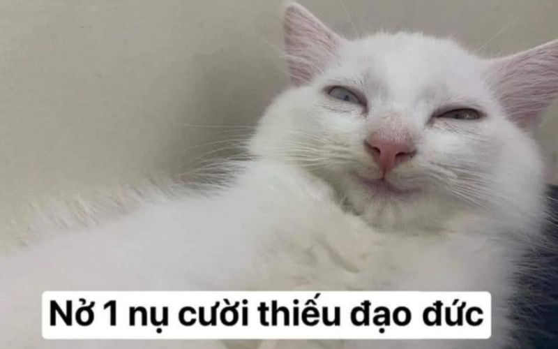 meme cười nham hiểm