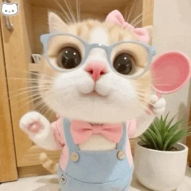 meme cute đáng yêu