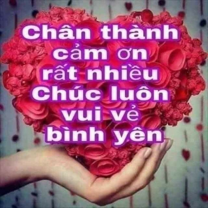 meme đa tạ