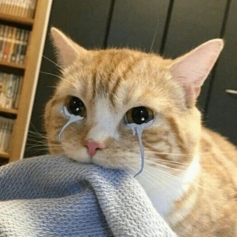 meme đau lòng