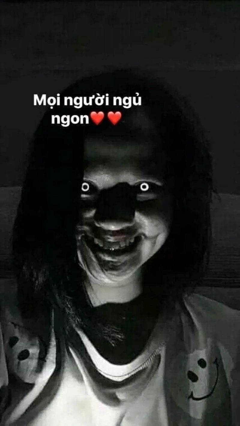 meme đi ngủ