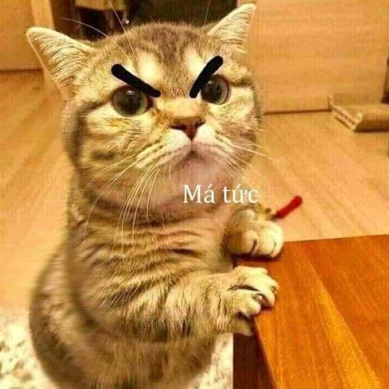 meme dỗi